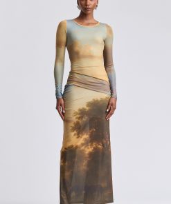 Printed Mesh Ruched Maxi Dress